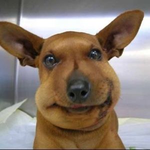 Meet your Posher, Aiden